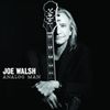 Música - Joe Walsh - Analog Man